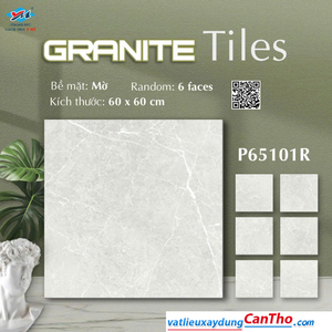 Ý Mỹ P 65101 R